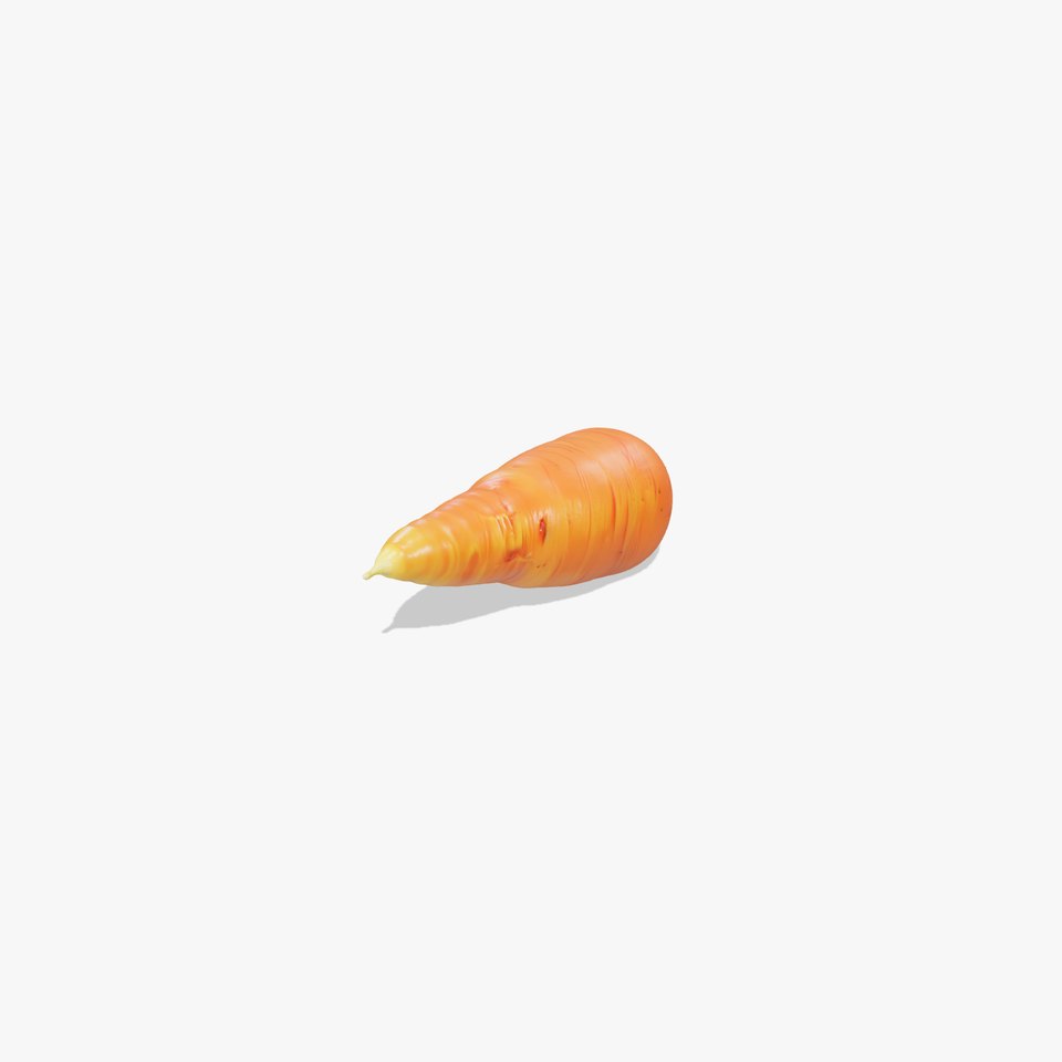 Realistic Carrot Freshness Model Pack